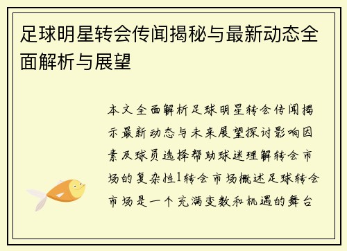 足球明星转会传闻揭秘与最新动态全面解析与展望