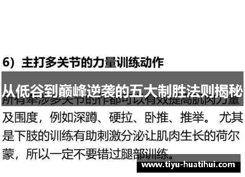 从低谷到巅峰逆袭的五大制胜法则揭秘