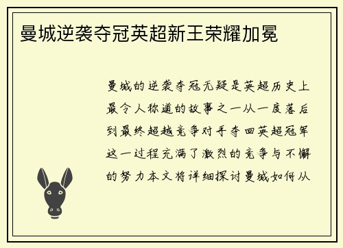 曼城逆袭夺冠英超新王荣耀加冕