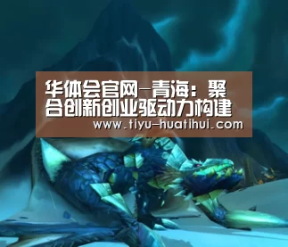 华体会体育