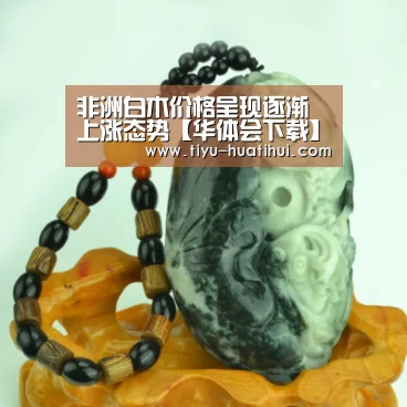 华体会官网