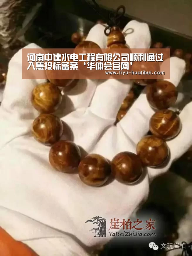 河南中建水电工程有限公司顺利通过入焦投标备案‘华体会官网’(图1) 华体会下载